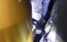 DUCATI STREETFIGHTER V4 S 2020