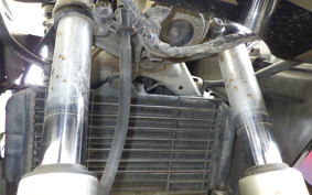 YAMAHA FZR250 2025 2KR