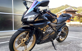 YAMAHA YZF-R15 RG06