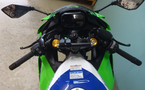 KAWASAKI NINJA ZX-4RR 40TH 2024