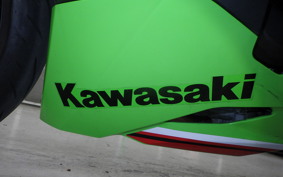 KAWASAKI ZX-4RR 2023 ZX400P