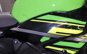 KAWASAKI NINJA ZX-6R A 2019 ZX636G