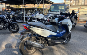 HONDA  FORZA 250 MF13