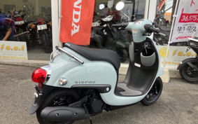 HONDA GIORNO AF77