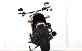 HARLEY FXFBS 2019 LKE