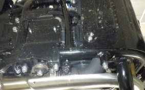 OTHER +BSA GOLDSTAR650 2025