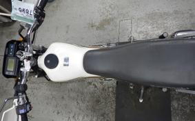 KAWASAKI SUPER SHERPA KL250G