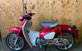HONDA  SUPER CUB C125 JA58