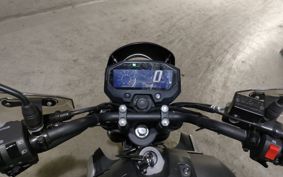 YAMAHA FZX150 RG73