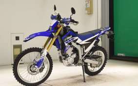 YAMAHA WR250R 2019 DG15J