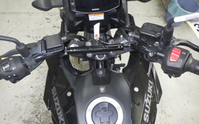 SUZUKI Vｽﾄﾛｰﾑ250SX 2013 EL11L