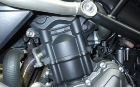 TRIUMPH TIGER 900 GT PRO