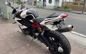 TRIUMPH TRIUMPH DAYTONA675R 2014 TTA14F