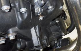 KAWASAKI Z900RS 2021 ZR900C