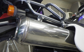 SUZUKI DR250 R-S 2007 SJ45A