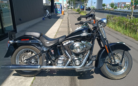 HARLEY FLSTSC1450 2005 BRY
