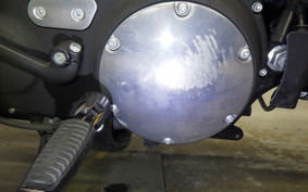 HARLEY XL883N 2015