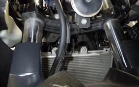 KAWASAKI NINJA 250 2024 EX250P