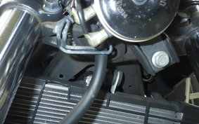 YAMAHA MT-25 2010 RG43J