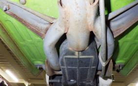 YAMAHA PASSOL 2001 2T4