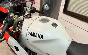 YAMAHA XSR900 GP 2024 RN96J