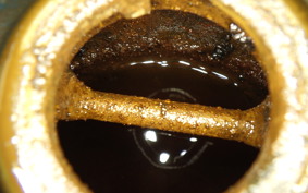 HONDA LITTLE CUB AA01