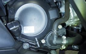 HONDA FORZA 250 MF15