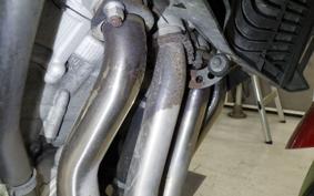 YAMAHA FZ1 FAZER 2009 RN21J