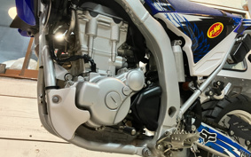 YAMAHA WR250R DG15J