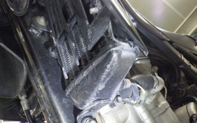 SUZUKI 250SB 2008 LX250L