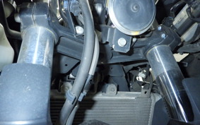 KAWASAKI NINJA 250 2