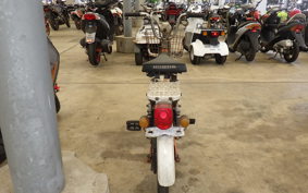 HONDA NOVIO 2025 PM50