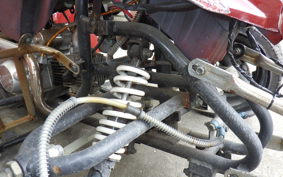 OTHER +UNREGISTERED MODEL by BDS