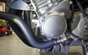 HONDA HORNET 250 2004 MC31