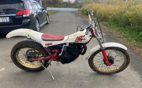 YAMAHA TY250 R 38V