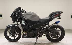 KAWASAKI NINJA 250 EX250P