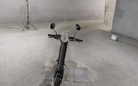 OTHER  BLAZE  SMART EV BLAZE
