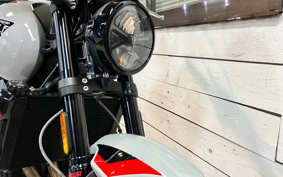 TRIUMPH TRIDENT 800 2026 L24P40
