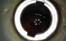 HONDA LITTLE CUB 2010 AA01