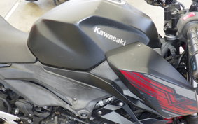 KAWASAKI Z250 Gen.2 EX250P