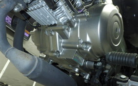 HONDA MONKEY 125 2021 JB03