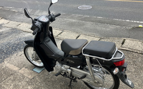 HONDA SUPER CUB110 JA10