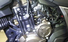 SUZUKI Vｽﾄﾛｰﾑ250SX 2022 EL11L