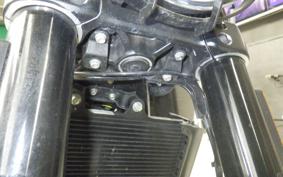 HUSQVARNA SVARTPILEN 250 2014