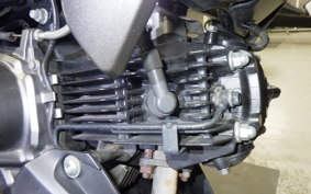 KAWASAKI Z125 PRO 2019 BR125H