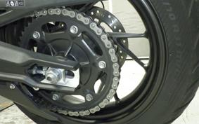 TRIUMPH TIGER 900 GT PRO 2020