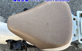 OTHER  LITTLE CUB -E FI