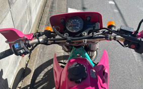 KAWASAKI KDX250SR DX250F