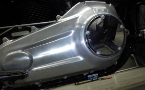 HARLEY FLSL 1750 2020