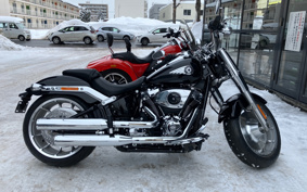 HARLEY FLFB 2025 YF9